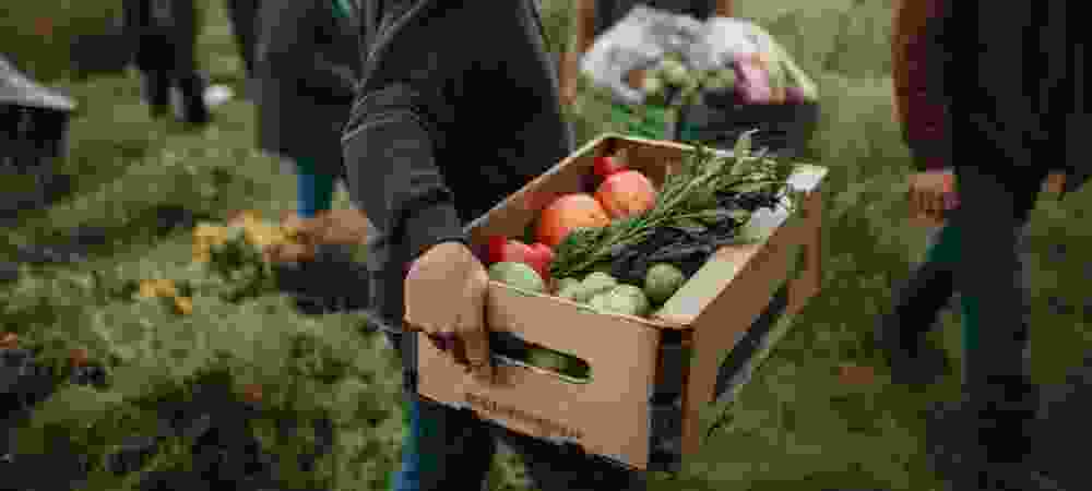 Kanaani Farms - Integrated Agriculture, Processing and Equipment