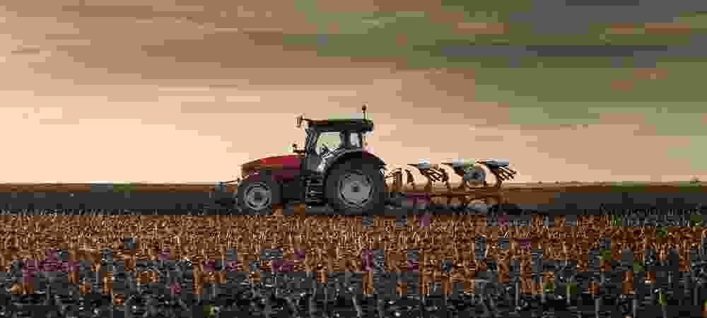 Kanaani Farms - Integrated Agriculture, Processing and Equipment